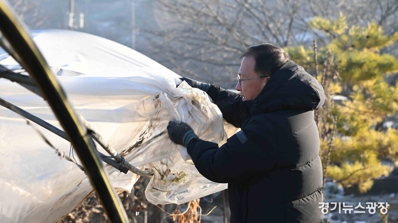 김근영 사장이 폭설로 인해 피해를 입은 송산 포도농가를 찾아 봉사활동을 하고 있다.