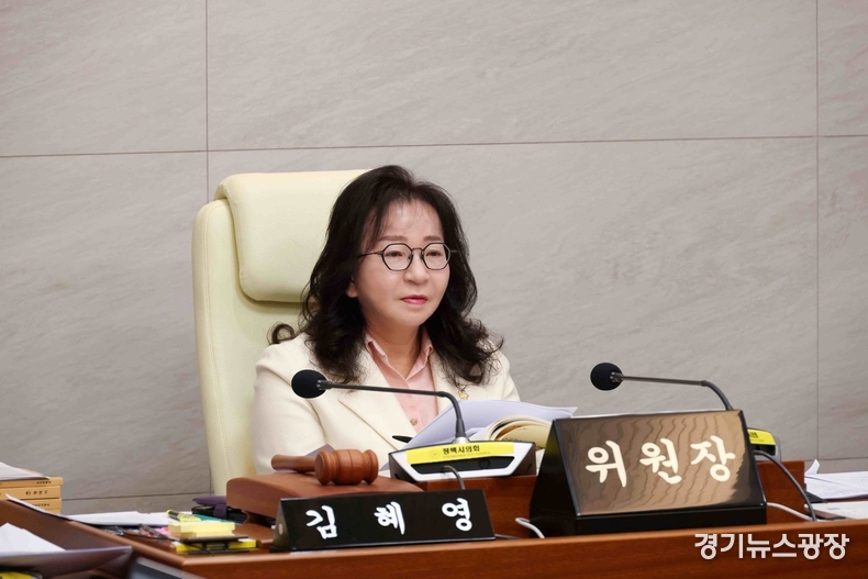 김혜영 평택시의회 예산결산특별위원장.
