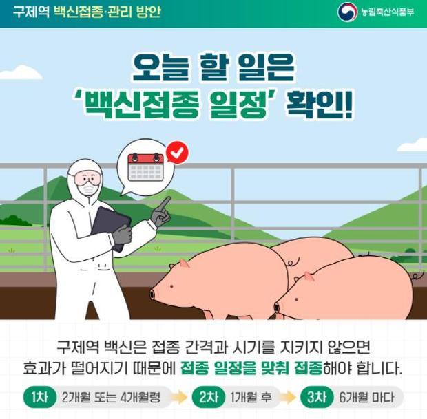 파주시는 기존 4월1일부터 실시하기로 계획된 구제역 예방 백신접종을 3월14일로 앞당겨 시행하기로 했다.