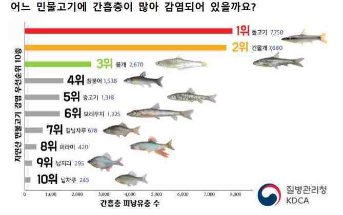 평택시는 장내기생충 질환을 일으키는 장내기생충 감염을 막기 위해 하천 주변 민물고기를 생식하지 않도록 당부했다..