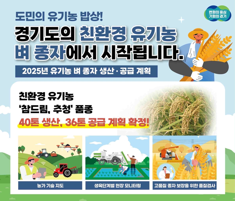 경기도는 내년 친환경 벼농사에 쓰일 유기농 종자 공급을 위해 ‘2025년 유기농 벼 종자 생산·공급계획’을 수립하고 본격 시행에 들어간다.