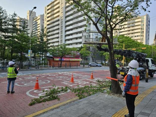수원시는 5월1일부터 15일까지 관내 공원·녹지 분야 171개 사업장을 대상으로 안전점검을 실시했다.