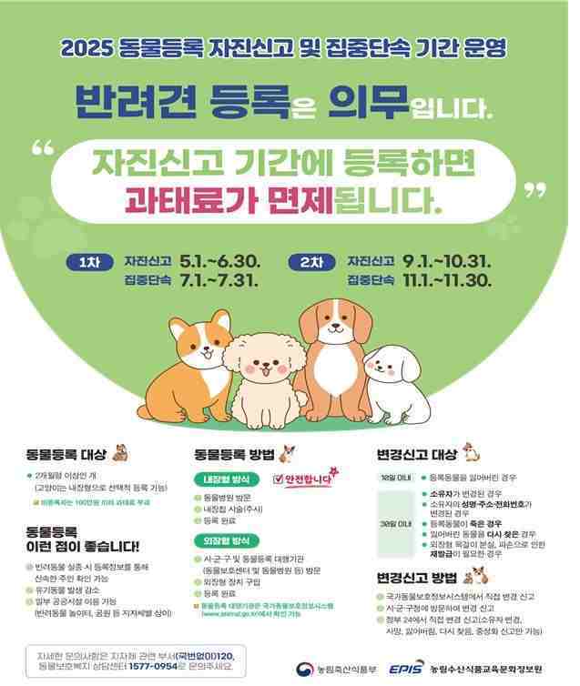 안성시가 유실·유기동물 발생을 예방하고 반려동물 등록제 정착을 위해 2025년 1차 및 2차 반려동물 등록 자진신고 기간을 운영한다.