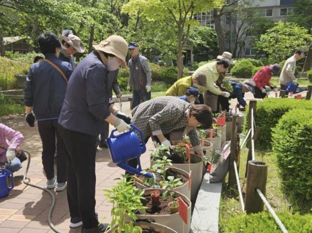 용인특례시가 오는 11월까지 지역 내 경로당 5곳에 맞춤형 텃밭을 조성하고, 어르신을 대상으로 한 도시농업 프로그램 ‘찾아가는 실버텃밭’을 운영중이다.