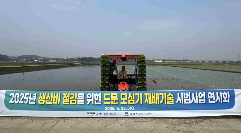 평택시가 포승읍에서 ‘2025년 벼 드문모심기 재배 기술 현장 연시회’를 농업인과 관계자 30여 명이 참석한 가운데 개최하고 있다.