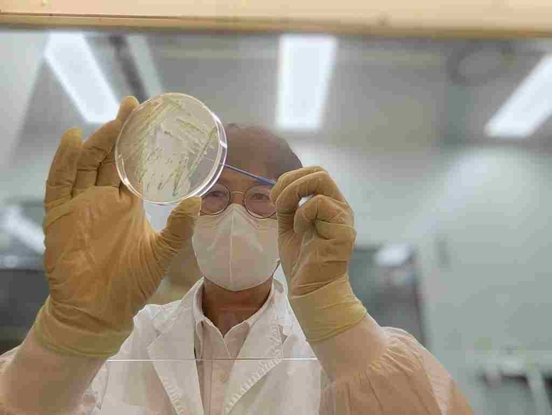 경기도보건환경연구원이 지난 5월20일 채수한 해수에서 비브리오패혈증균(Vibrio vulnificus)이 검출됐다며 주의를 당부했다.