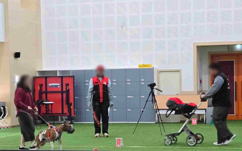 경기도가 시흥시에서 맹견사육허가제에 따른 ‘기질평가’를 올해 첫 실시했다.