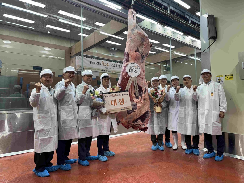 경기한우의 품질과 안전성을 널리 알리고 소비자 인식 개선을 통해 판로 확대 및 소비 촉진을 활성화하기 위해‘제7회 경기한우 고급육 평가대회’를 개최한다. 자료사진