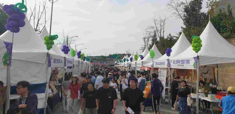 안성시의 대표 농산물인 포도를 주제로 한‘2025 안성맞춤 포도축제’가 오는 9월26일부터 28일까지 3일간, 서운면 양촌리 480번지 일원(안성제4산업단지 KCC 공장 옆)에서 개최된다.