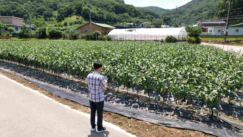 드론을 활용한 폭염 예찰 활동을 하고 있다.