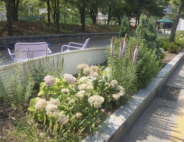 수원시가 시민에게 아름다운 도시 경관을 제공하기 위해 중앙분리대 야생화 식재, 자녀안심 그린숲, 경기 선형공원 조성 등 다양한 녹지 조성 사업을 추진했다.