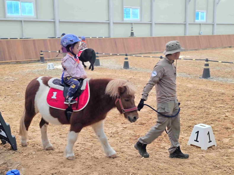 경기도가 오는 9월부터 11월까지 도내 어린이집 및 유치원을 대상으로 ‘경기도 어린이 말 체험’(이하 말 체험)을 전액 무료로 진행한다. 어린이가 말 체험을 하고 있다.