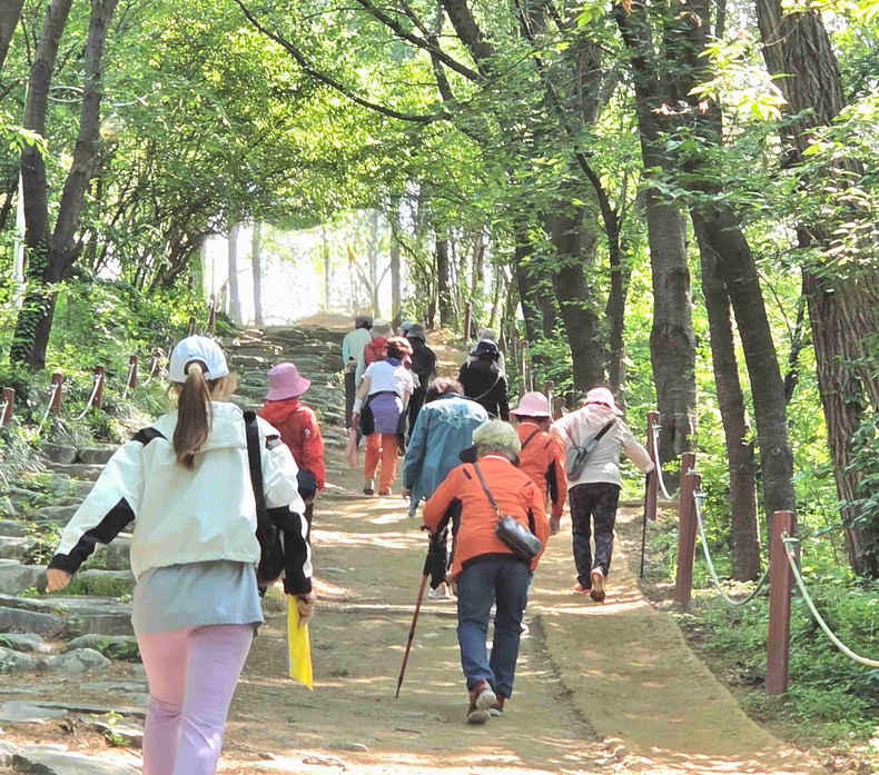 화성특례시가 다음 달부터 11월까지 시민 건강 증진과 이웃 간 교류 활성화를 위해 ‘동부 건강 걷기 동아리’ 운영을 재개한다.