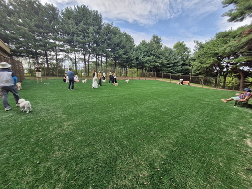 고양시 일산동구 마두동 정발산공원 반려견 놀이터가 안전하고 편리한 최적의 공간으로 재개장 됐다.
