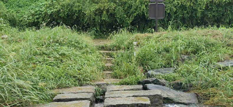 평택시가 민족 최대 명절인 추석 연휴를 맞아 귀성객과 시민들에게 안전하고 청결한 도시환경을 제공하기 위해 하천변을 중심으로 추석맞이 제초 작업을 실시한다.