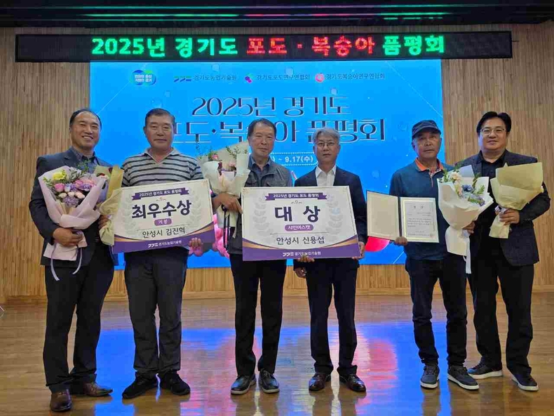 경기도농업기술원이 주관한 2025년 경기도 포도·복숭아 품평회에서 안성시 서운면 신용섭 농업인이 출품한 샤인머스캣이 포도 부문 대상을 수상했다.