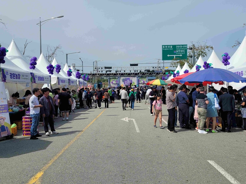 ‘2025년 제18회 안성맞춤 포도축제’가 오는 26일부터 28일까지 3일간 안성 제4산업단지 KCC공장 옆(양촌리 480번지)에서 개최된다. 지난해 행사 모습.