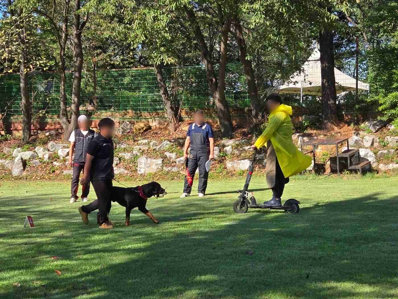 반려동물로 맹견을 기르는 경기도민은 오는 10월26일까지 ‘맹견사육허가’를 받아야 한다.