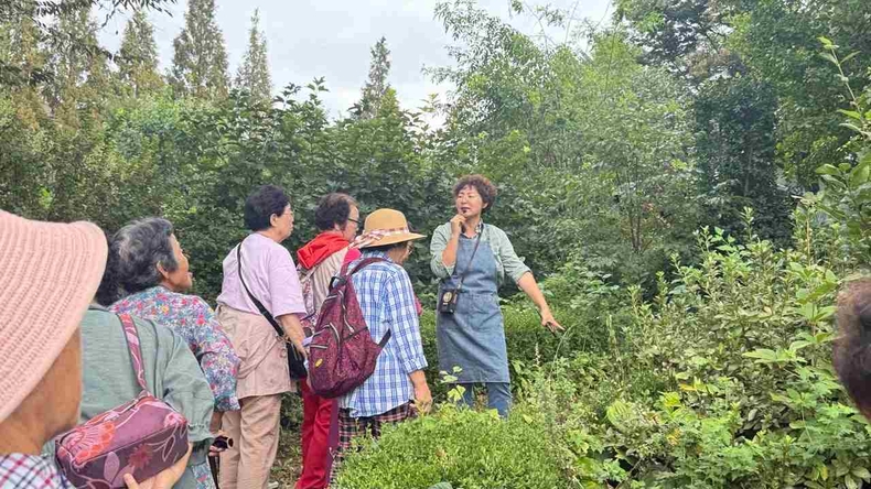 평택시가 농업기술센터와 관내 치매안심센터가 협력해 지난 2월부터 치유농업 유관기관 연계 치유 프로그램을 운영했다.