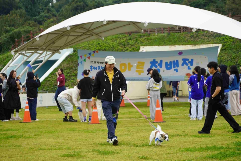 경기도가 반려마루화성에서 ‘2025 반려마루화성 홈커밍데이(가을운동회)’를 열고 반려가족 약 300명과 함께 소통의 시간을 가졌다.