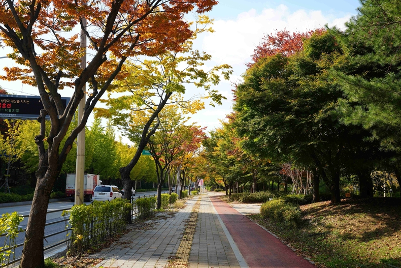 평택시가 ‘국도1호선 가로숲길’이 산림청이 주관한 2025년 녹색도시 우수사례(가로수 분야) 공모에서 ‘우수상’을 수상했다.