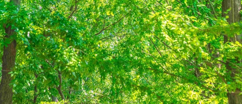 [기획]“김포~고양~파주~연천 4개 시군 잇는 최북단 도보 여행 떠난다