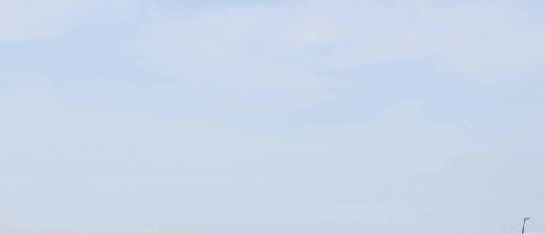 무해성 ‘야광충’ 확인…“인체·수산물 영향 없어”